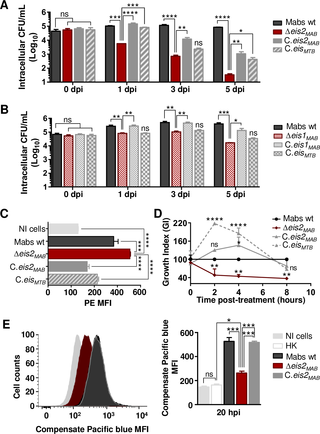<i>M</i>. <i>abscessus eis2</i> gene is essential for survival in Mϕ and shares functions with <i>M</i>. <i>tuberculosis eis</i> conversely to <i>M</i>. <i>abscessus eis1</i>.