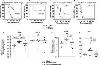Improved survival and decreased viral loads of neonatal mice when pretreated with <i>Lactobacillus</i> prior to Influenza infection.