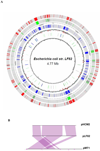 Complete Genome Sequence of Crohn's Disease-Associated Adherent