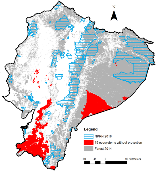 Forest Ecosystems In Tropical Andes, Fire Pit Distance From House Australia To Ecuador