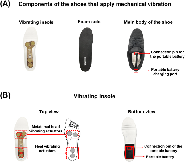 Application of vibration to the soles reduces minimum toe