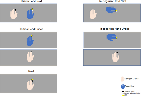 The rubber hand illusion is accompanied by a distributed reduction of alpha  and beta power in the EEG