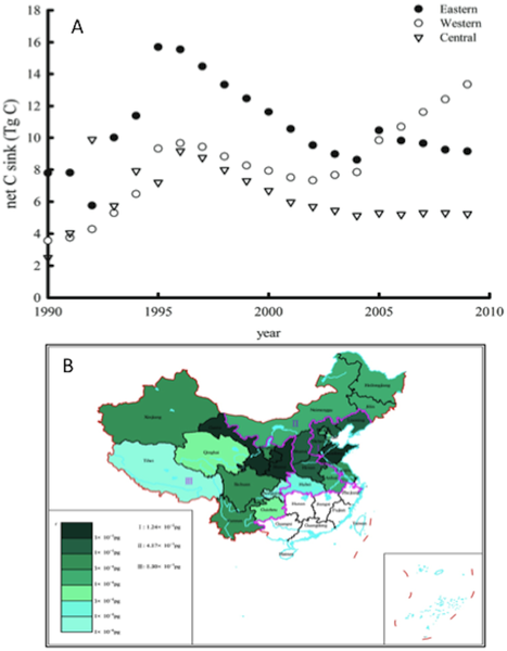Carbon Sequestration By Fruit Trees Chinese Apple Orchards