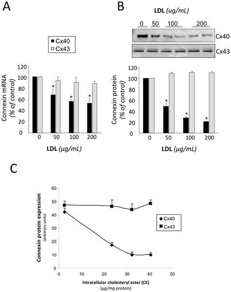 Low Density Lipoproteins Promote Unstable Calcium Handling