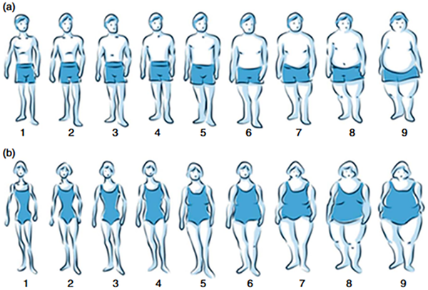 Body Silhouettes As A Tool To Reflect Obesity In The Past