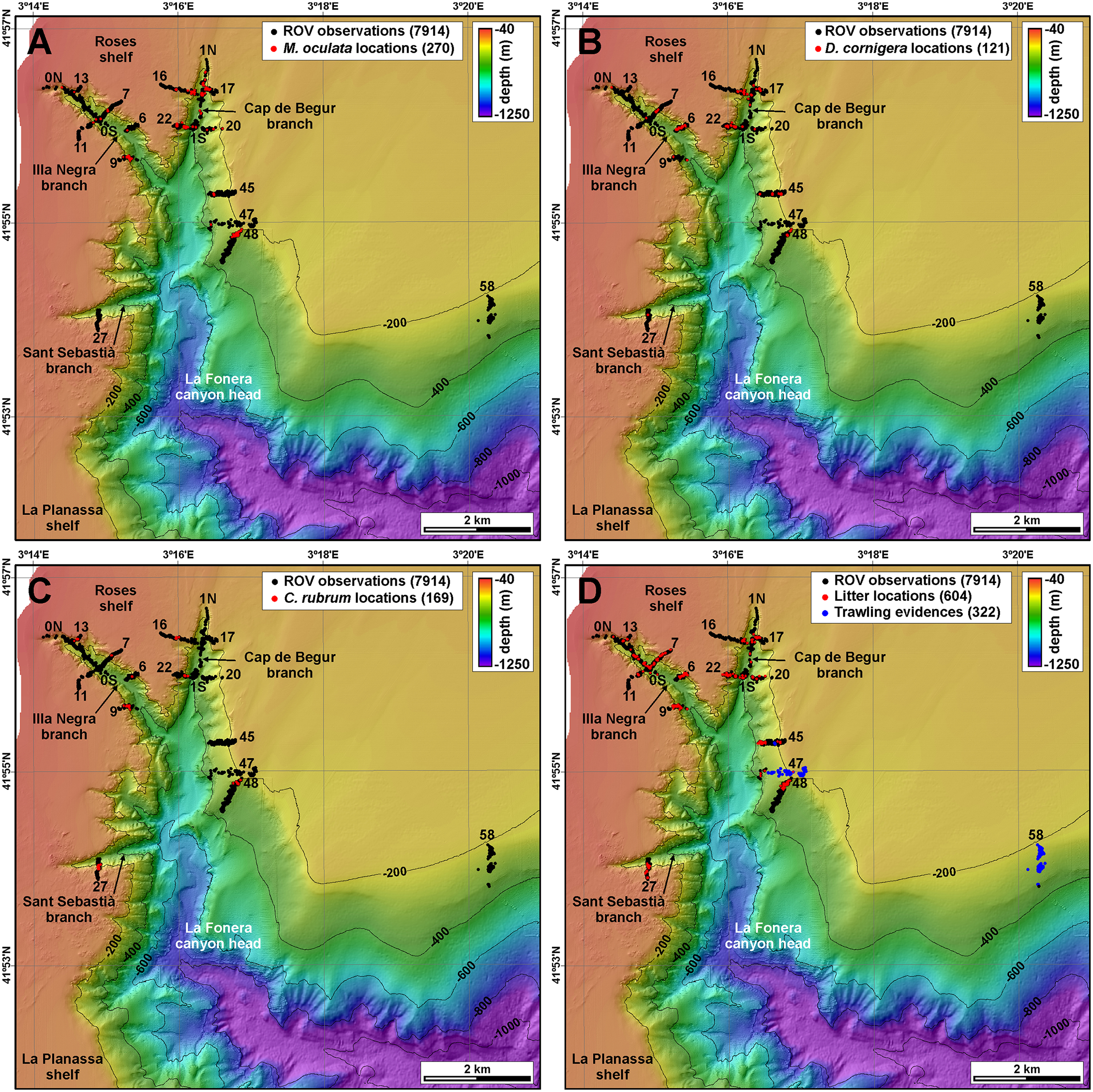 Plos One Cold Water Corals And Anthropogenic Impacts In La Fonera