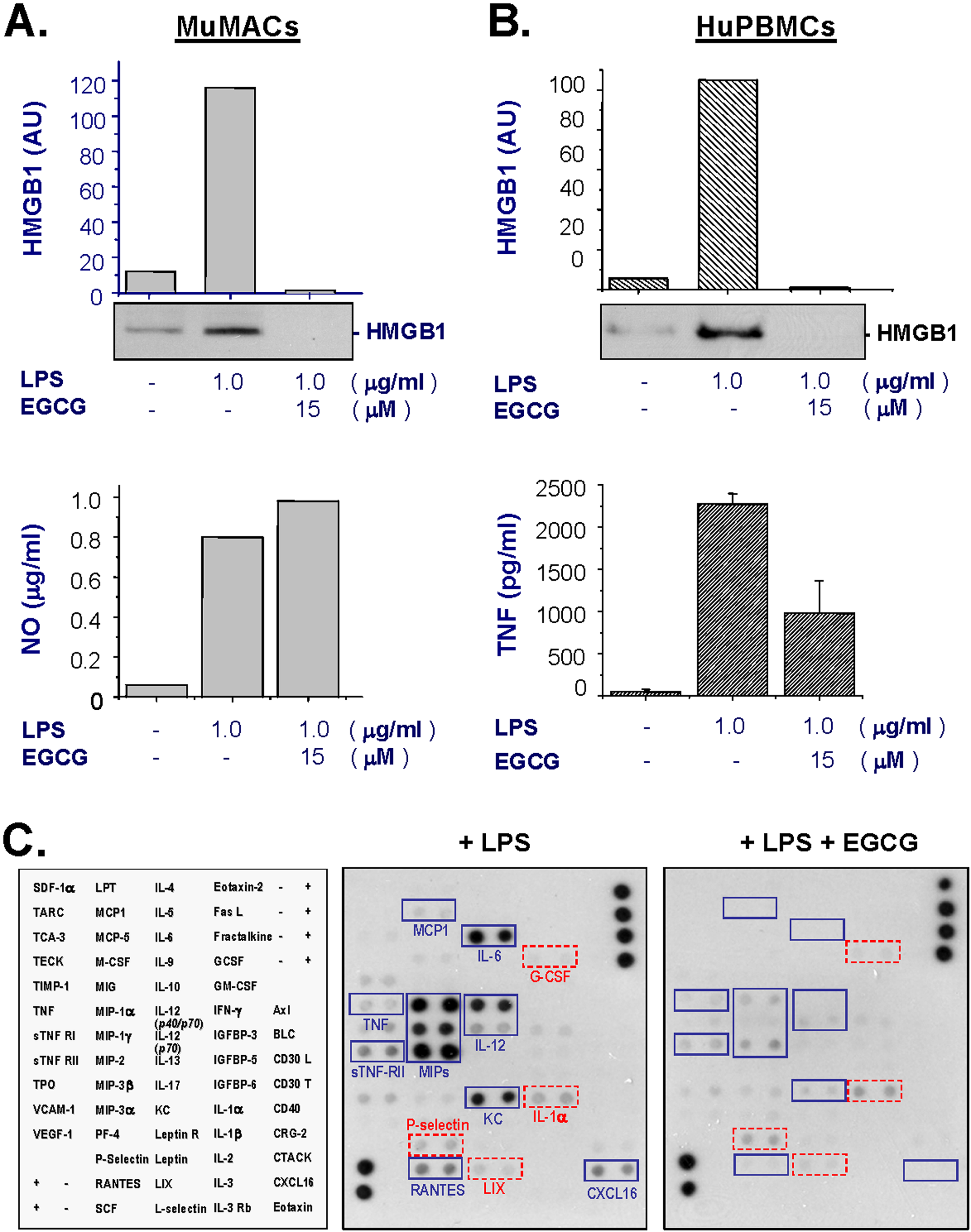 A Major Ingredient of Tea Rescues Mice from Lethal Sepsis by Inhibiting HMGB1 | PLOS ONE