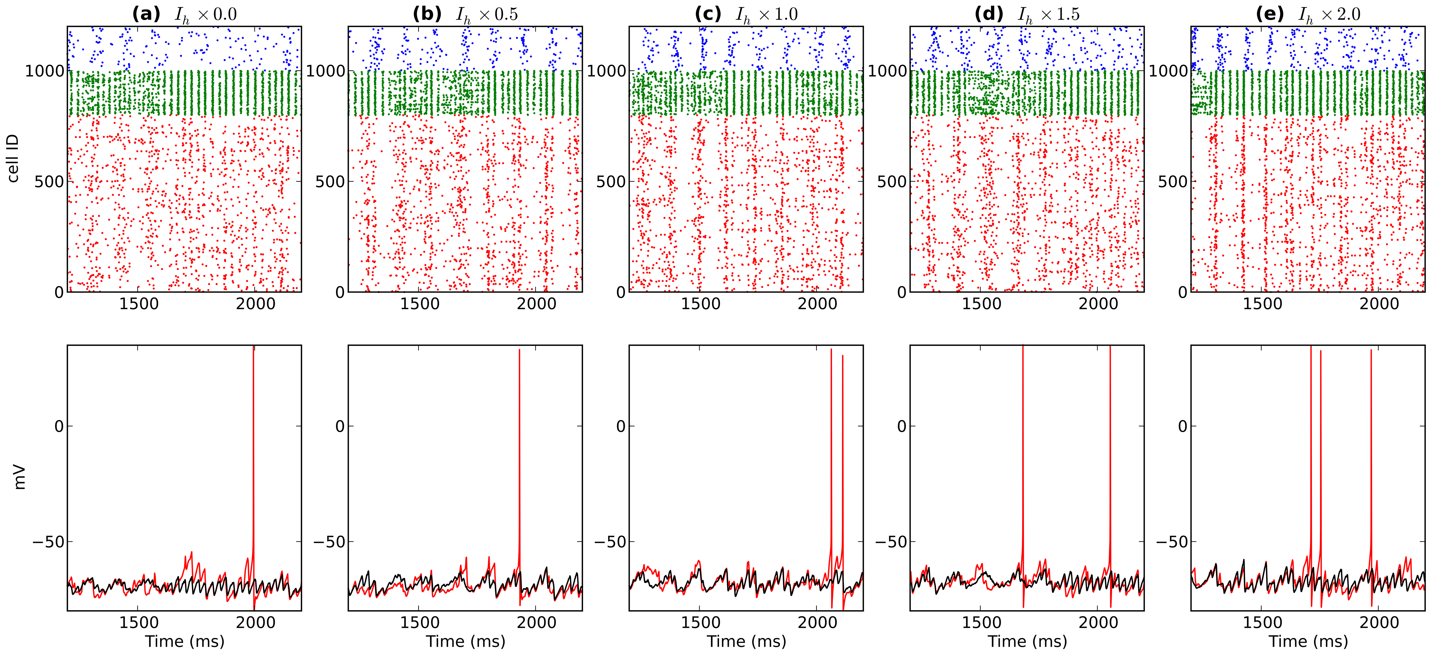 Plos One Ih Tunes Theta Gamma Oscillations And Cross Frequency Coupling In An In Silico Ca3 Model