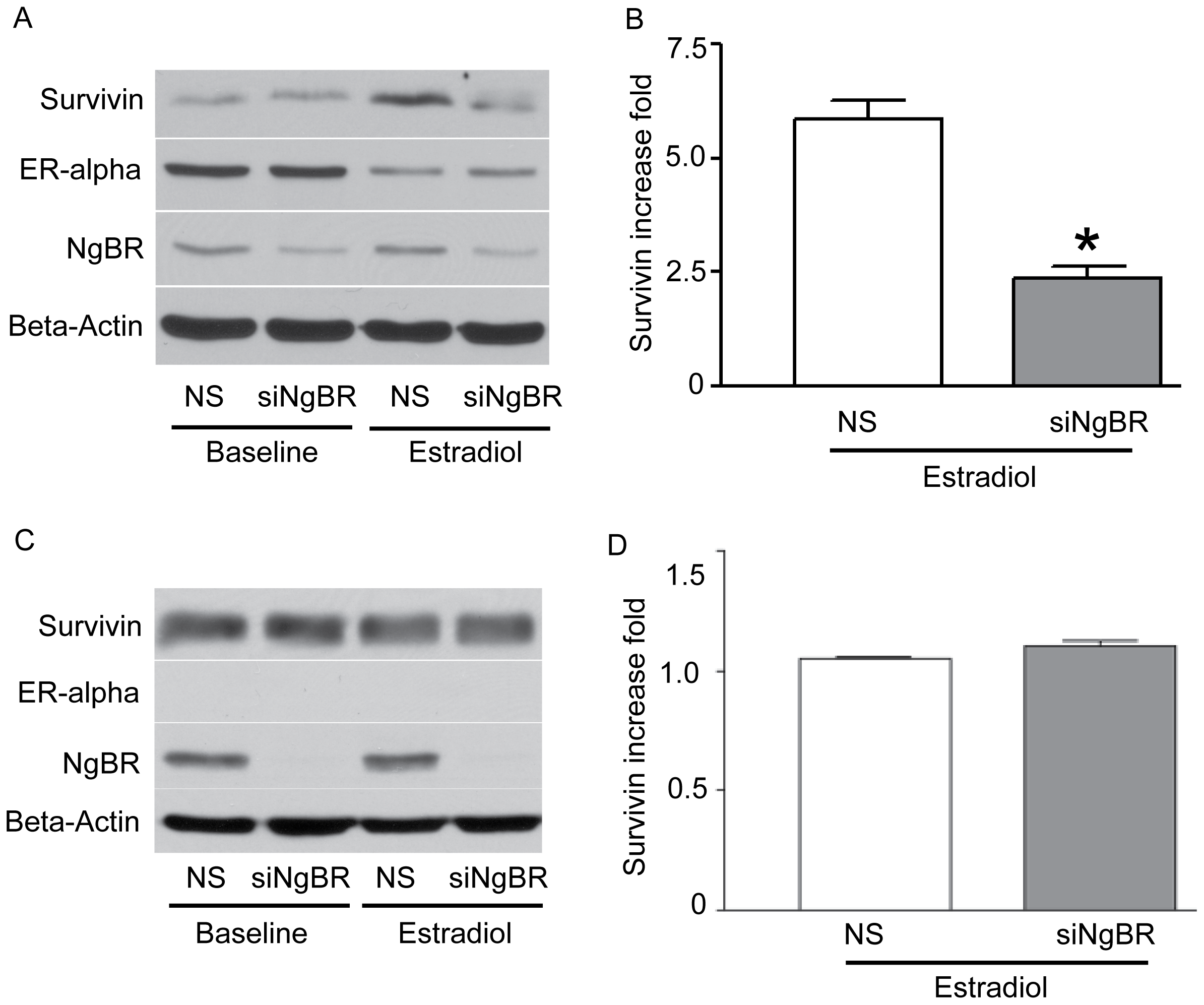 Plos One Expression Of Ngbr Is Highly Associated With